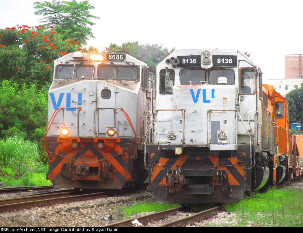 VLI 8136